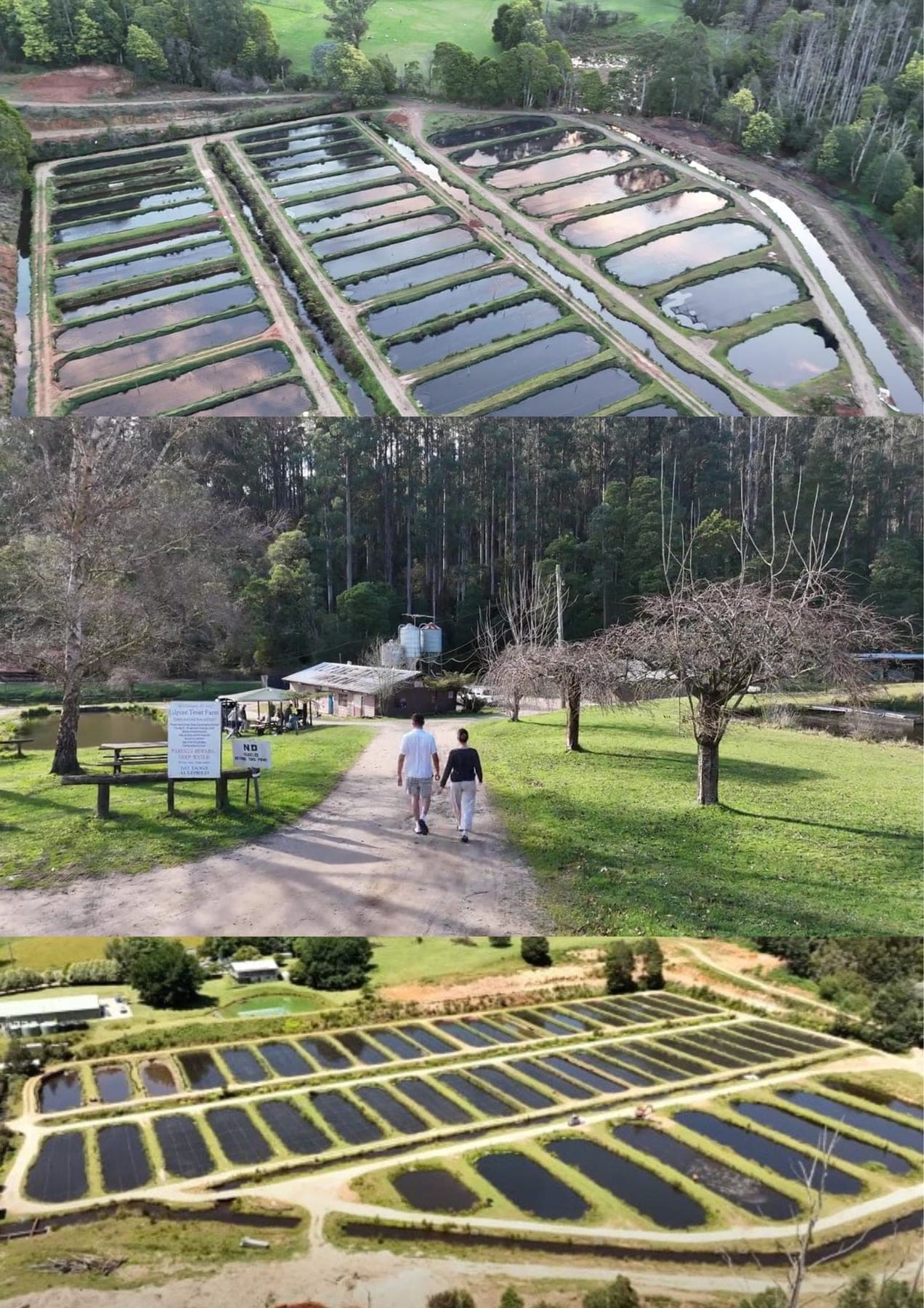 The Alpine Trout Farm
