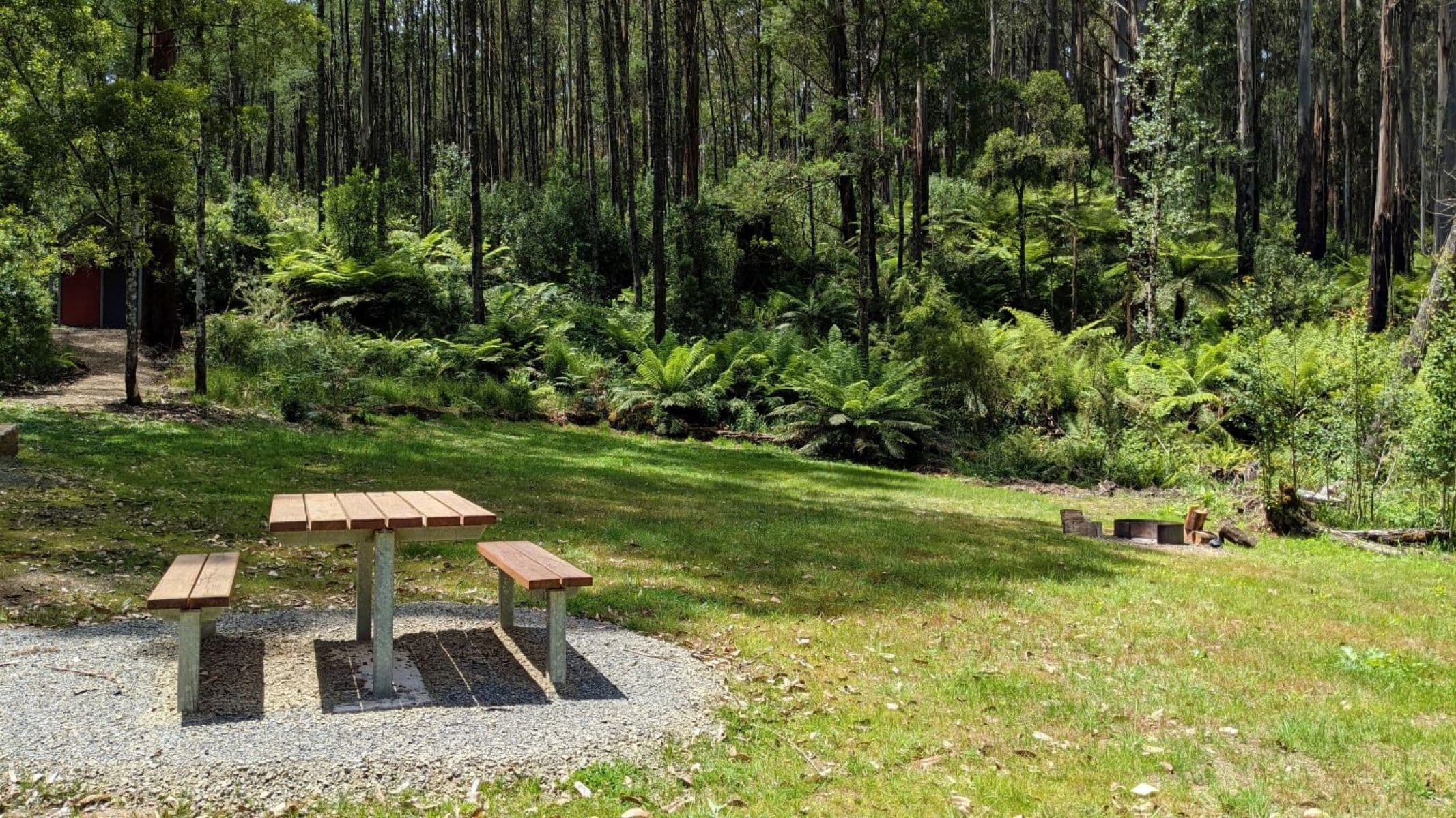 Picnic table and fire pit in a forest clearing at Checking Station Campground