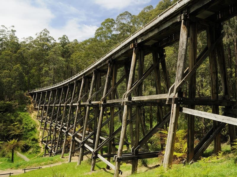 The restored Noojee Trestle Bridge curving into the forest