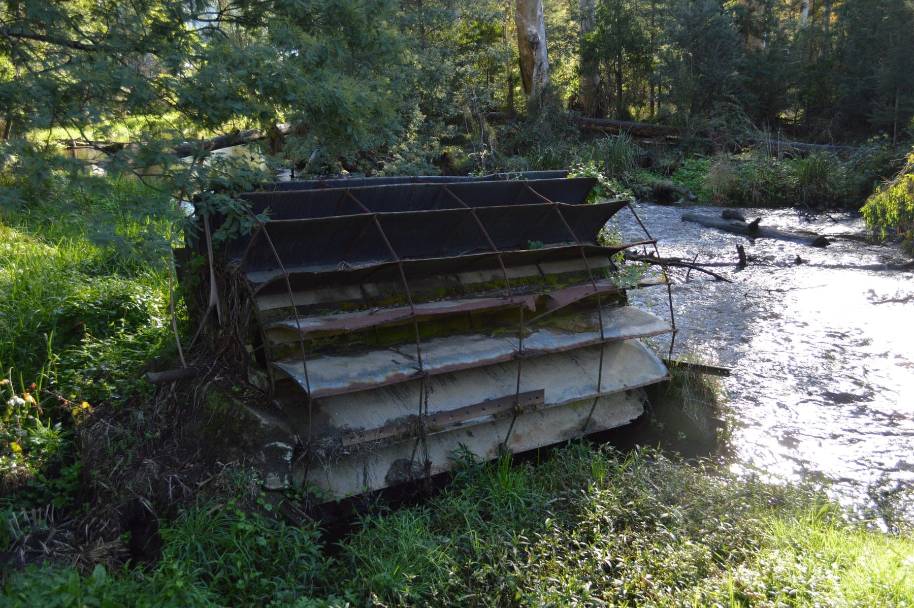 The old Noojee water wheel beside the Latrobe River